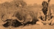 African Safari Adventures