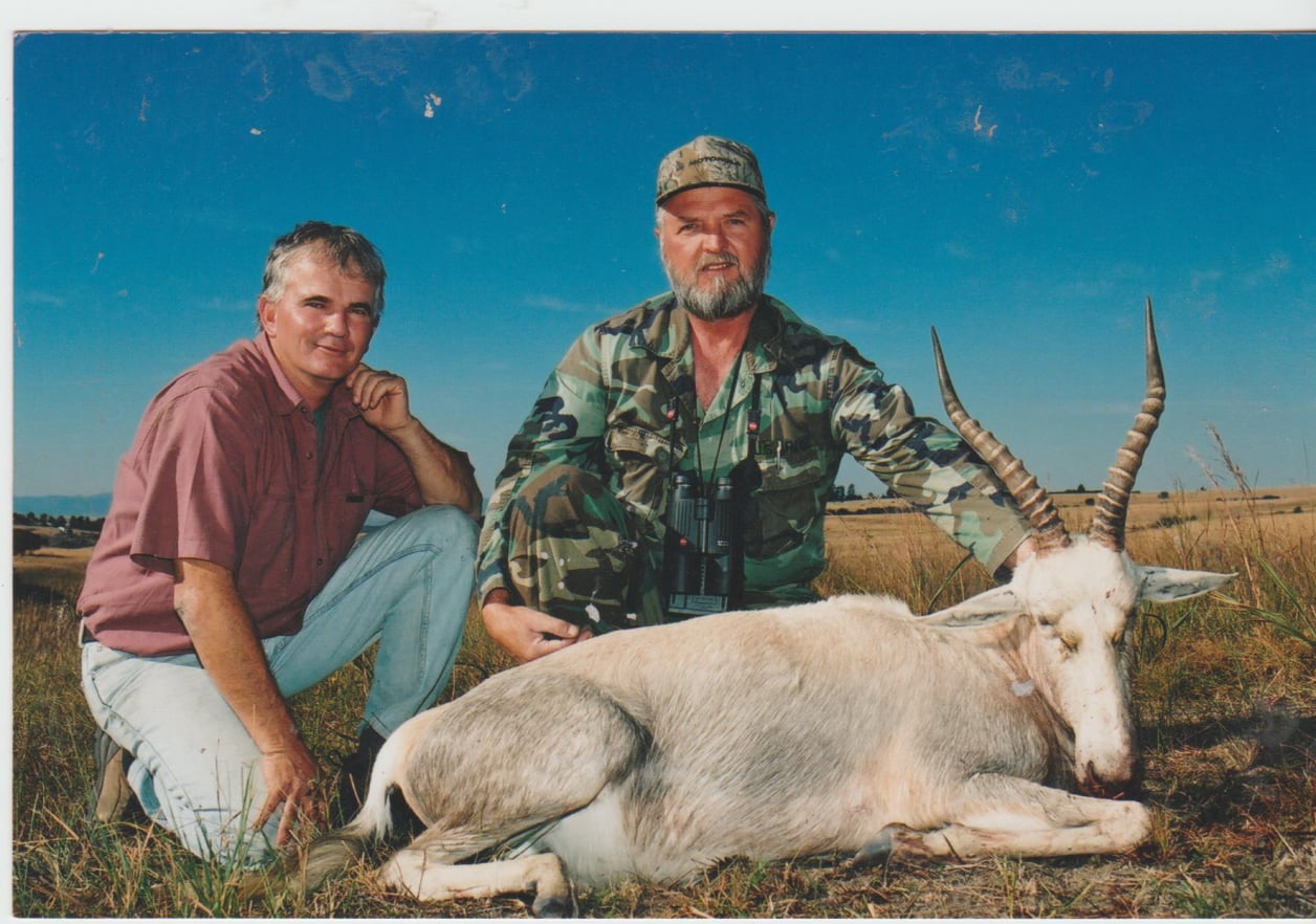 blessbok